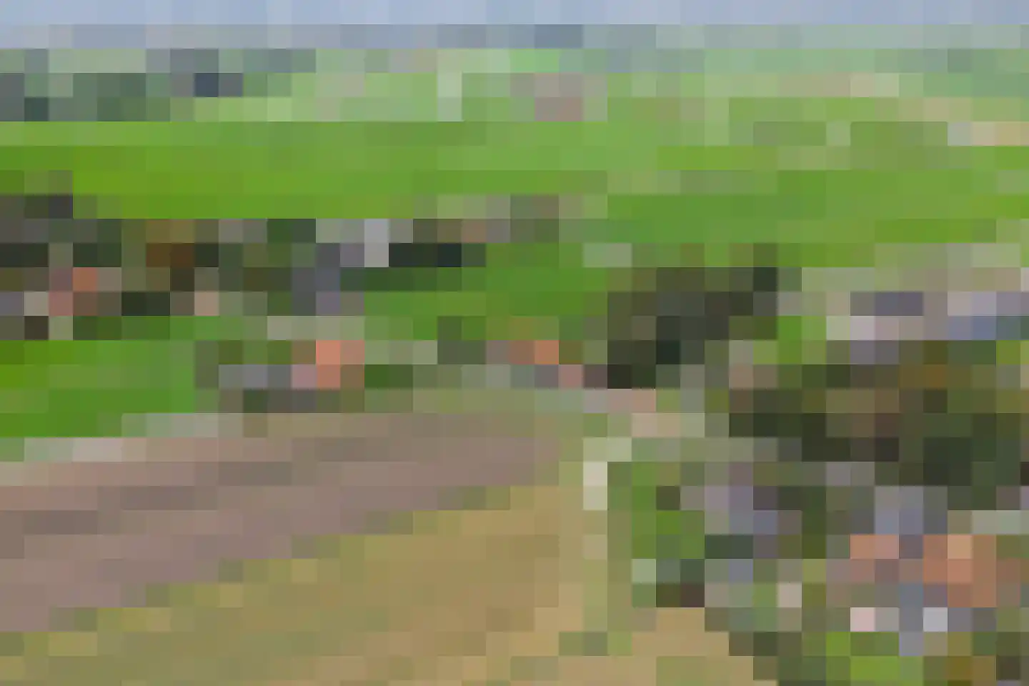 Middelie 70 Middelie thumbnail 43