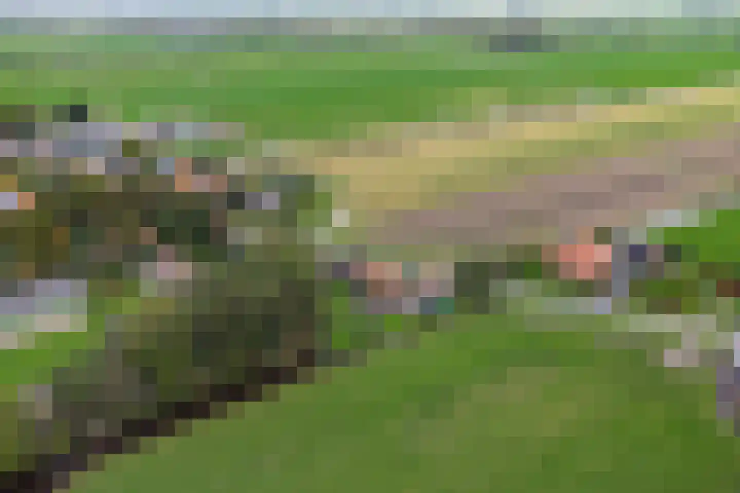 Middelie 70 Middelie thumbnail 44