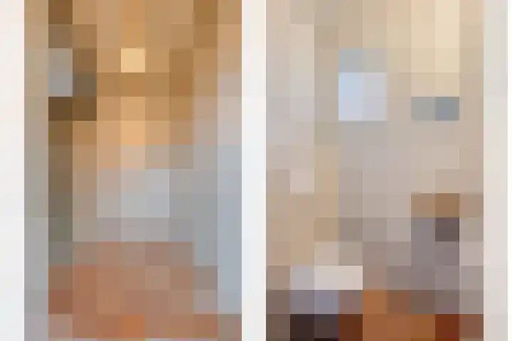 Middelie 70 Middelie thumbnail 5