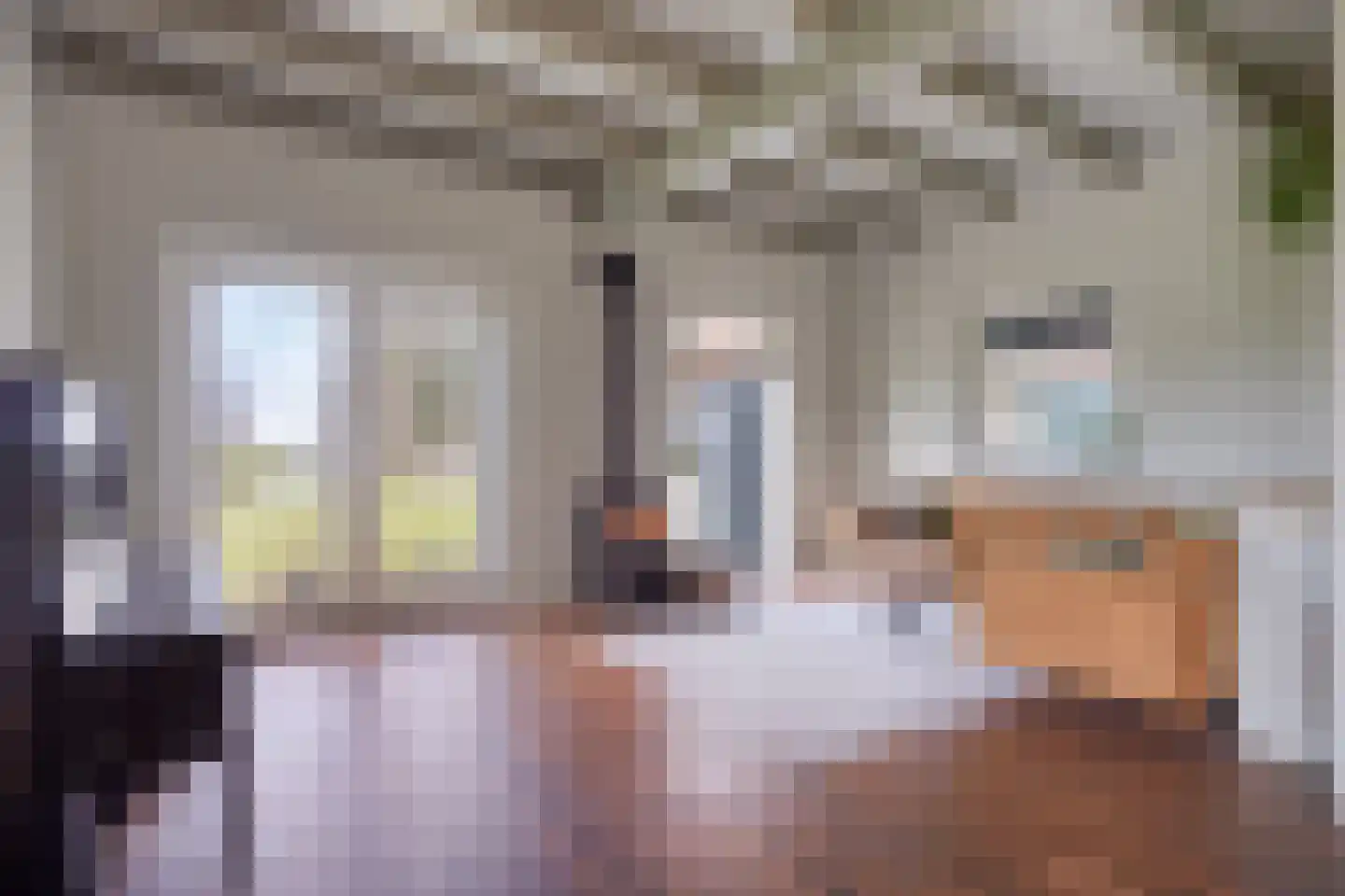 Middelie 70 Middelie thumbnail 6