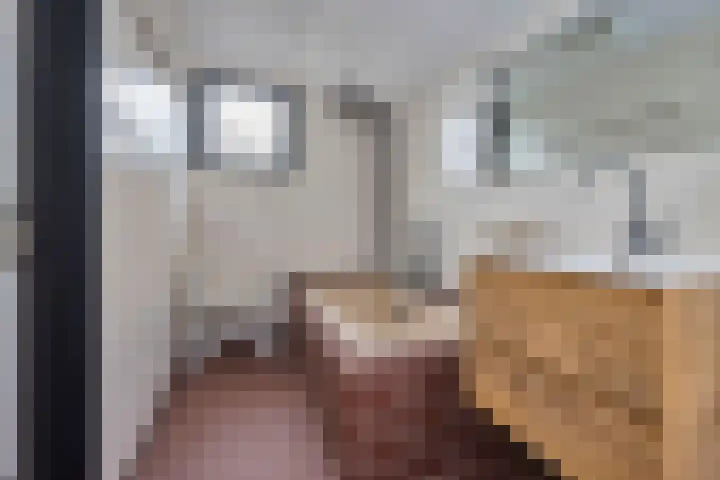 Middelie 72 Middelie thumbnail 27