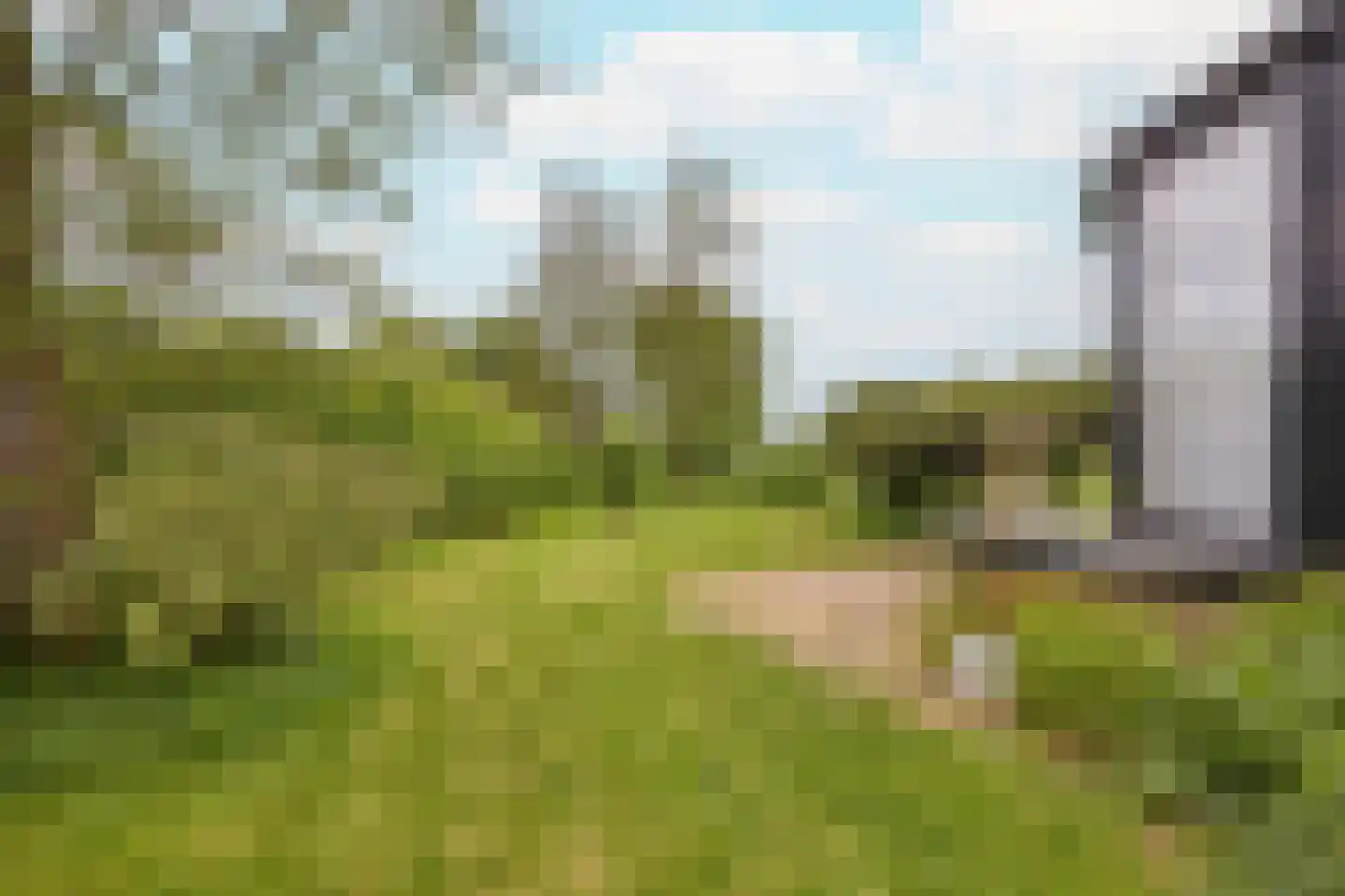 Middelie 72 Middelie thumbnail 41