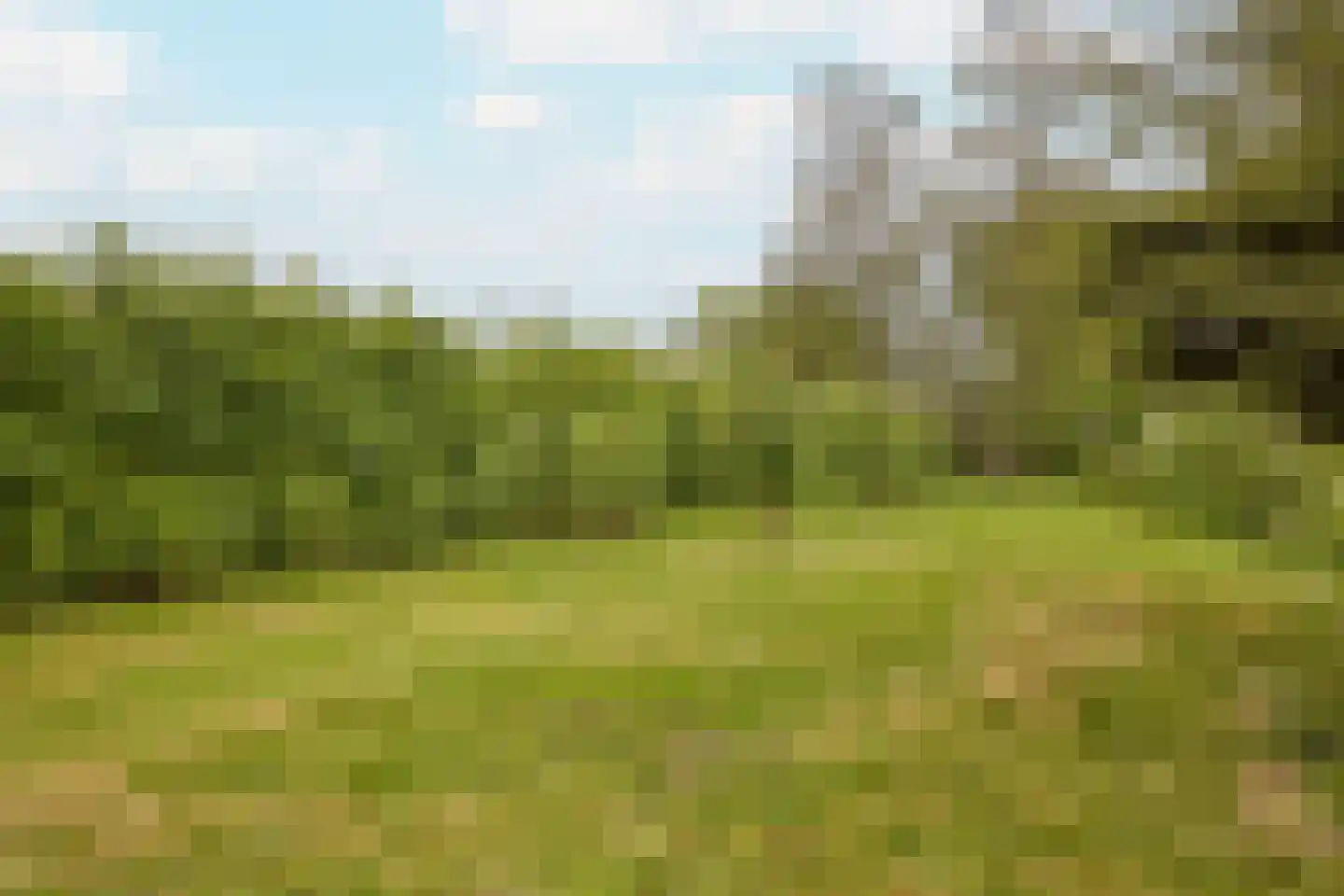 Middelie 72 Middelie thumbnail 42