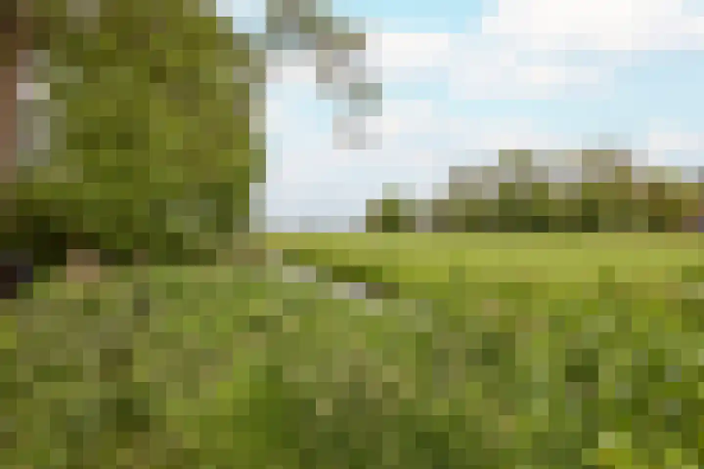 Middelie 72 Middelie thumbnail 43