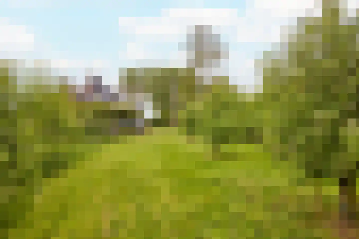 Middelie 72 Middelie thumbnail 44
