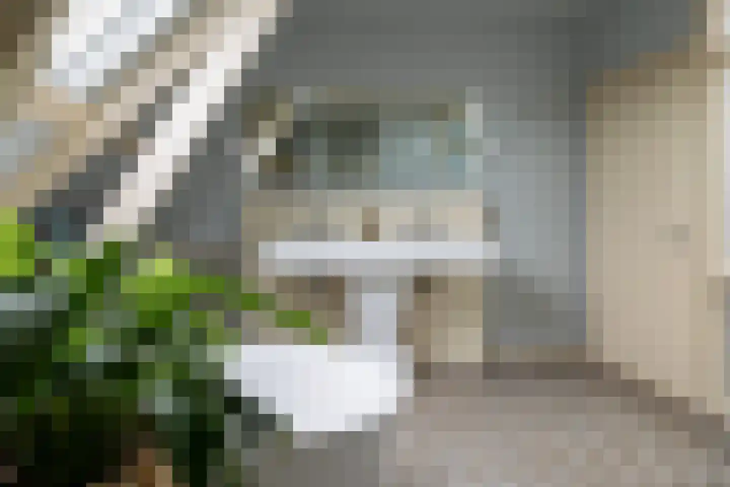 Middelie 76 Middelie thumbnail 33
