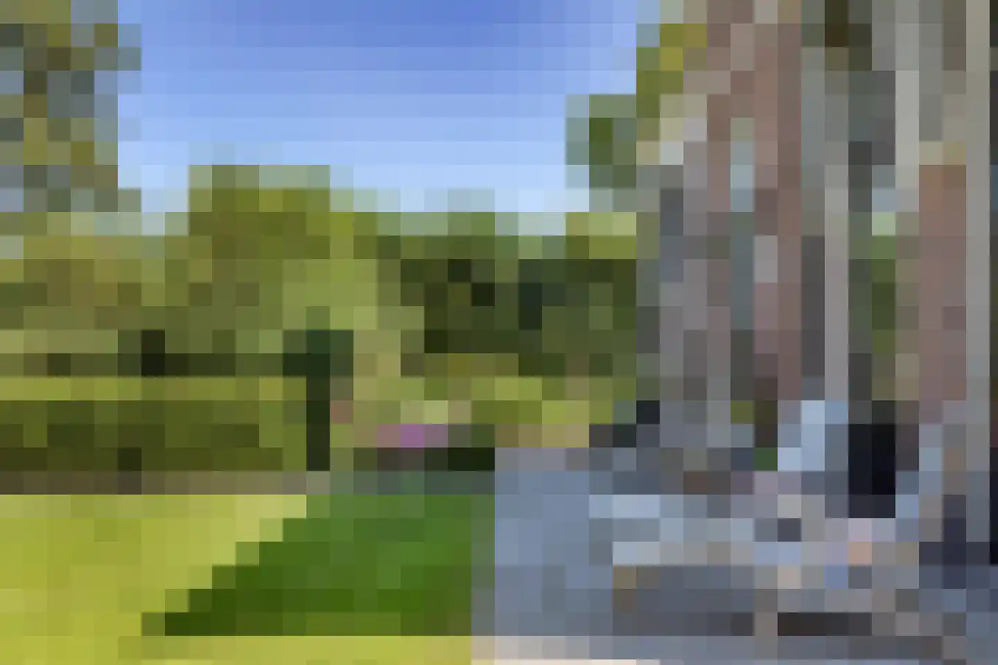 Middelie 76 Middelie thumbnail 38