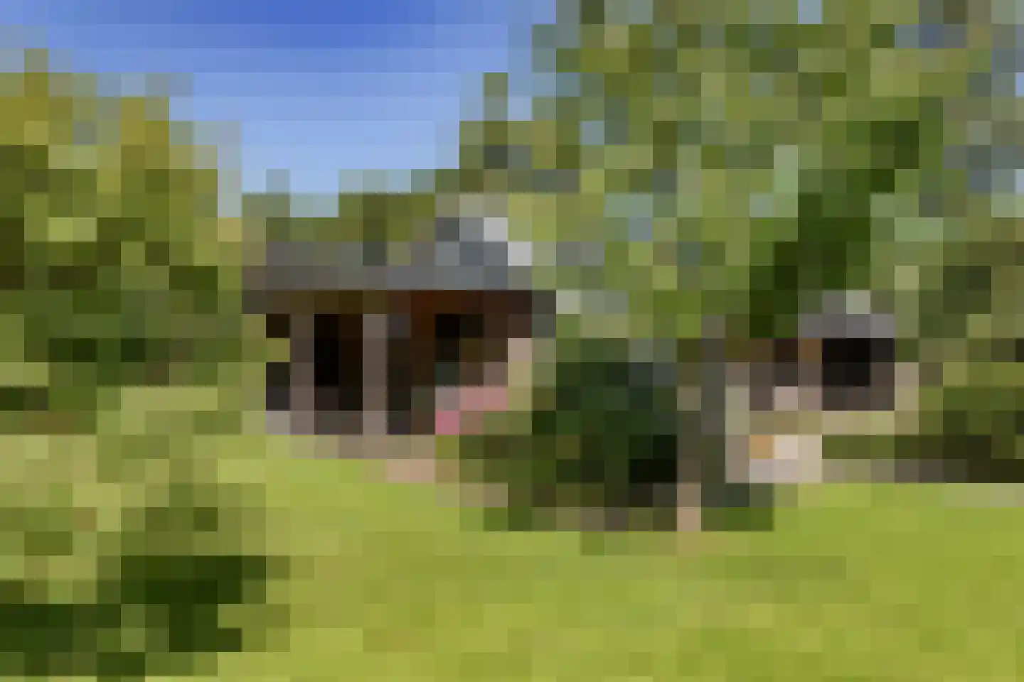 Middelie 76 Middelie thumbnail 39