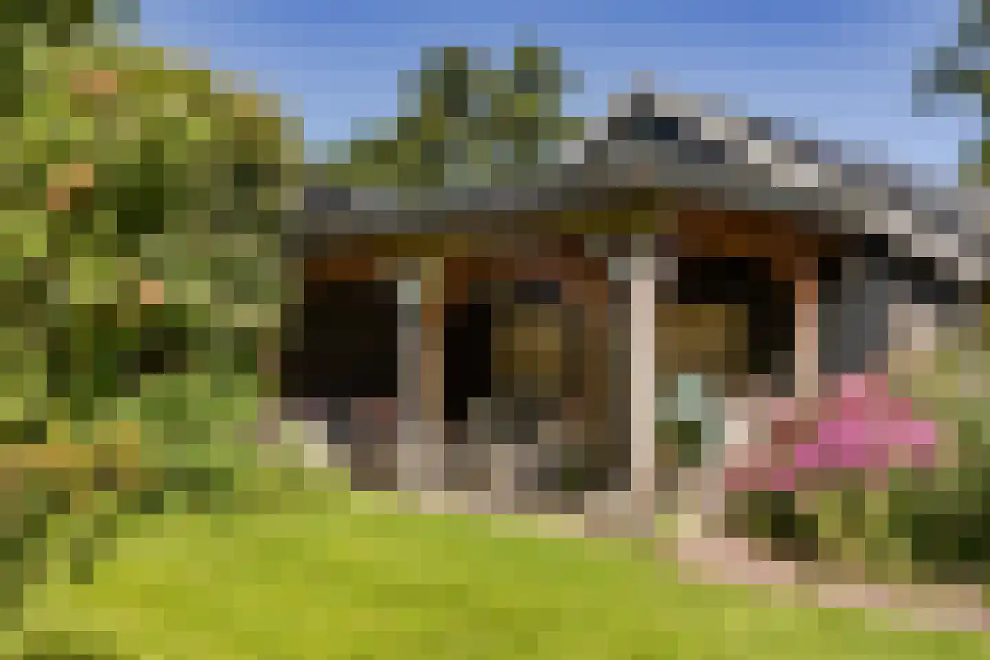 Middelie 76 Middelie thumbnail 40