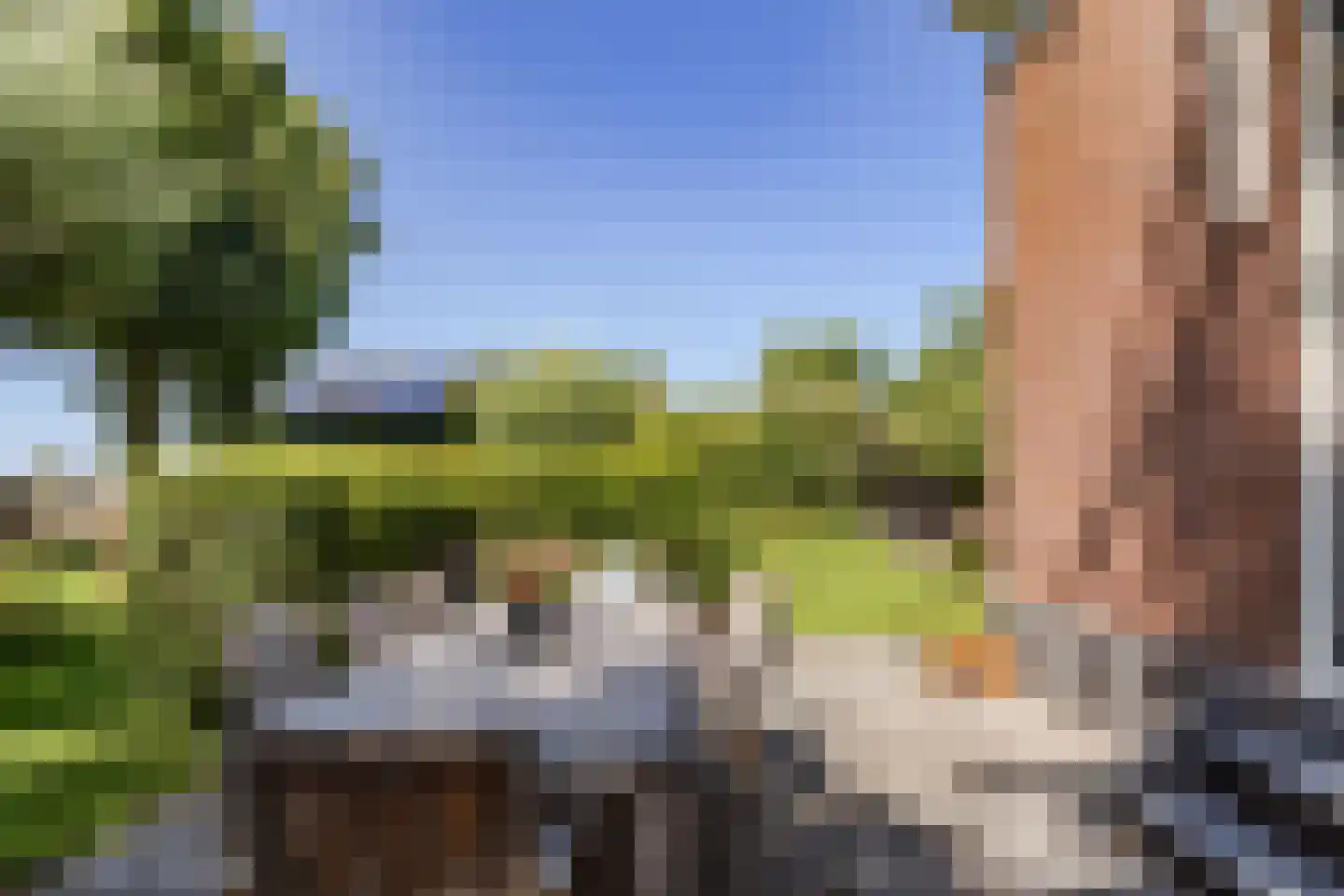 Middelie 76 Middelie thumbnail 41