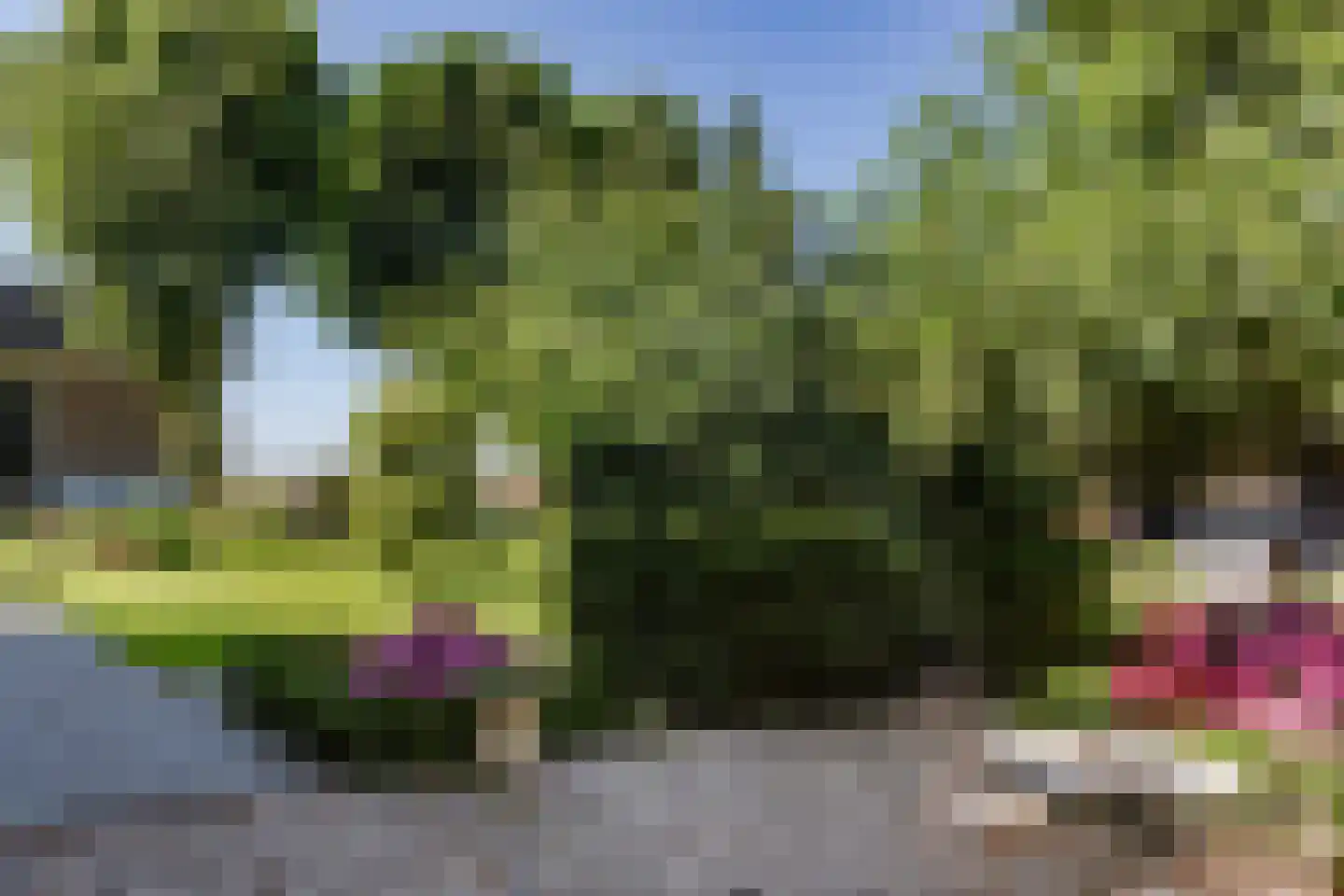 Middelie 76 Middelie thumbnail 43