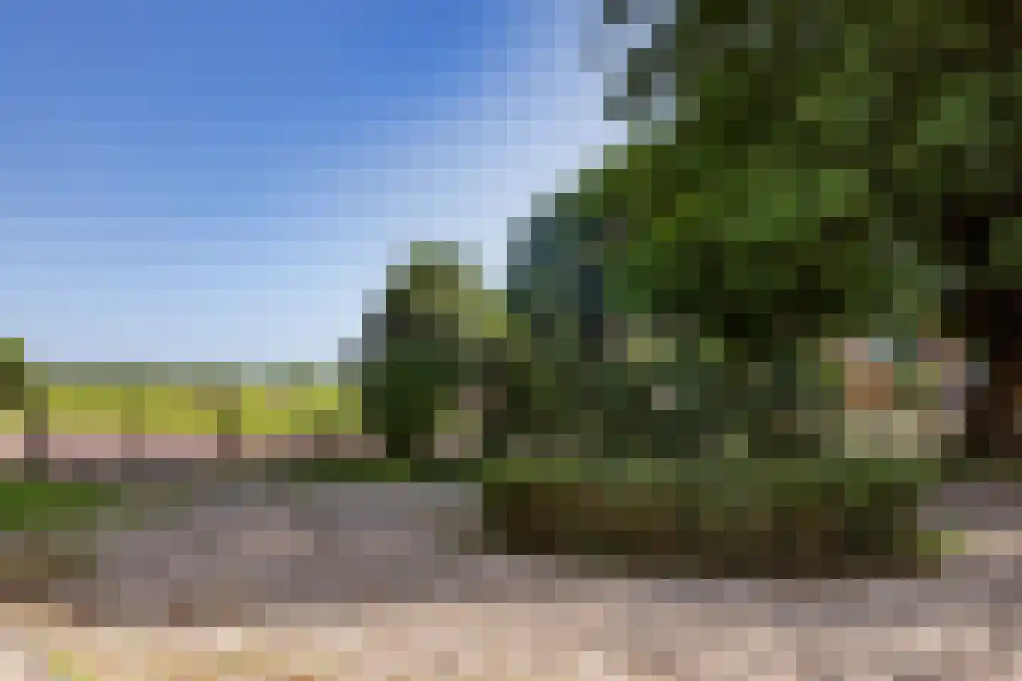 Middelie 76 Middelie thumbnail 47
