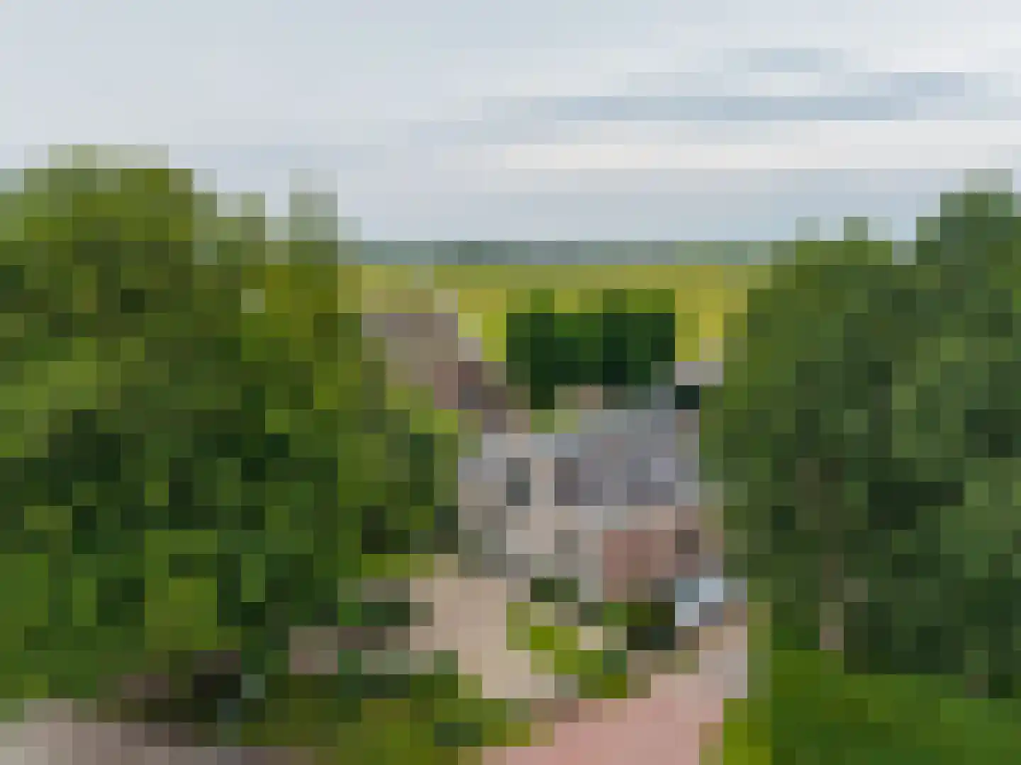 Middelie 76 Middelie thumbnail 48
