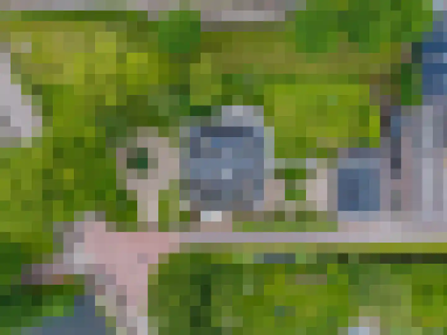 Middelie 76 Middelie thumbnail 49