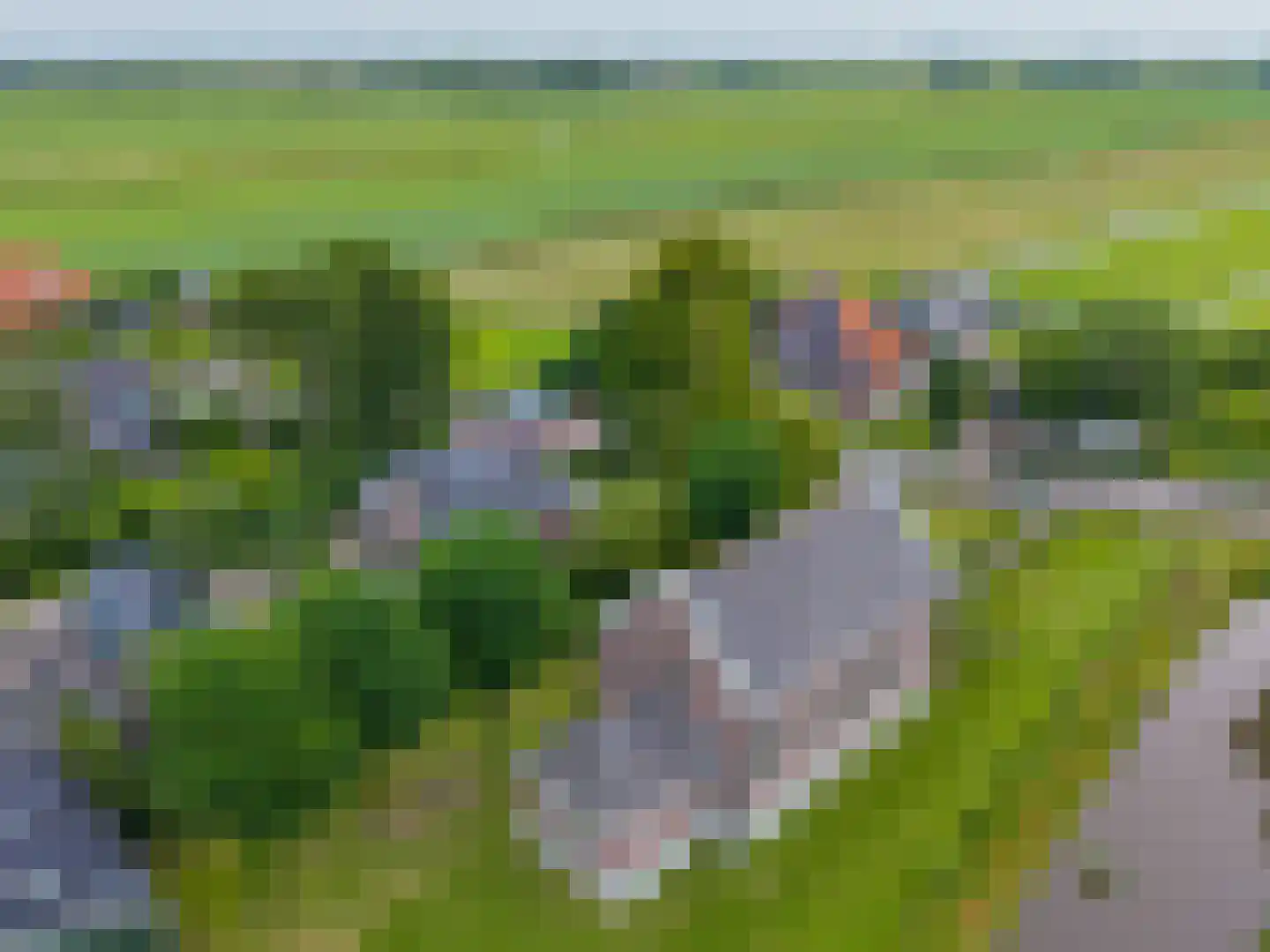 Middelie 76 Middelie thumbnail 50