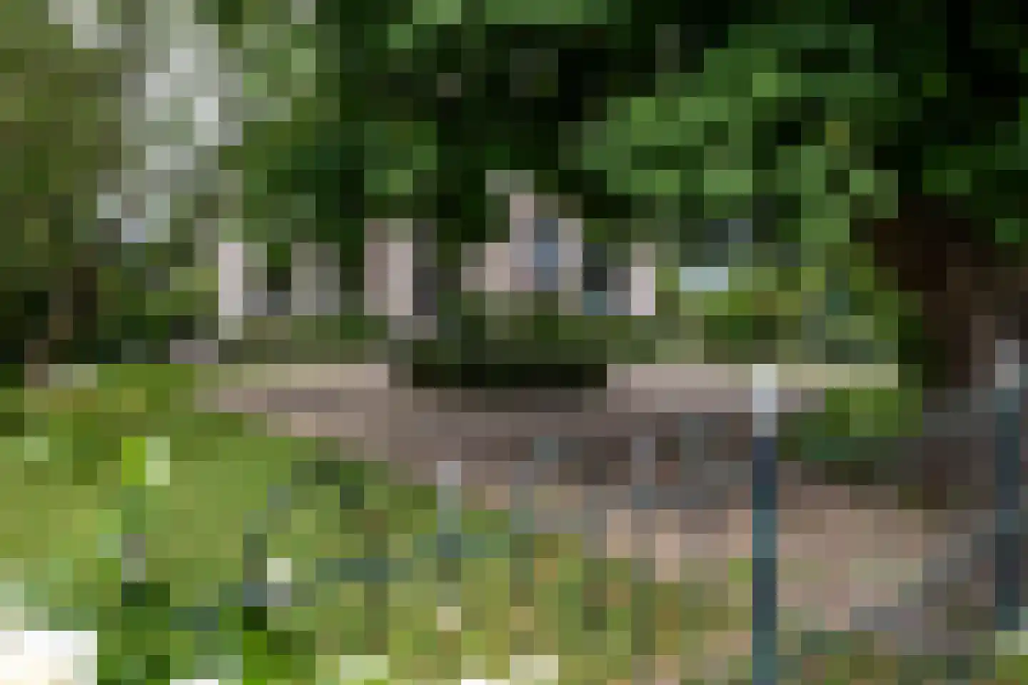 Middelie 76 Middelie thumbnail 7