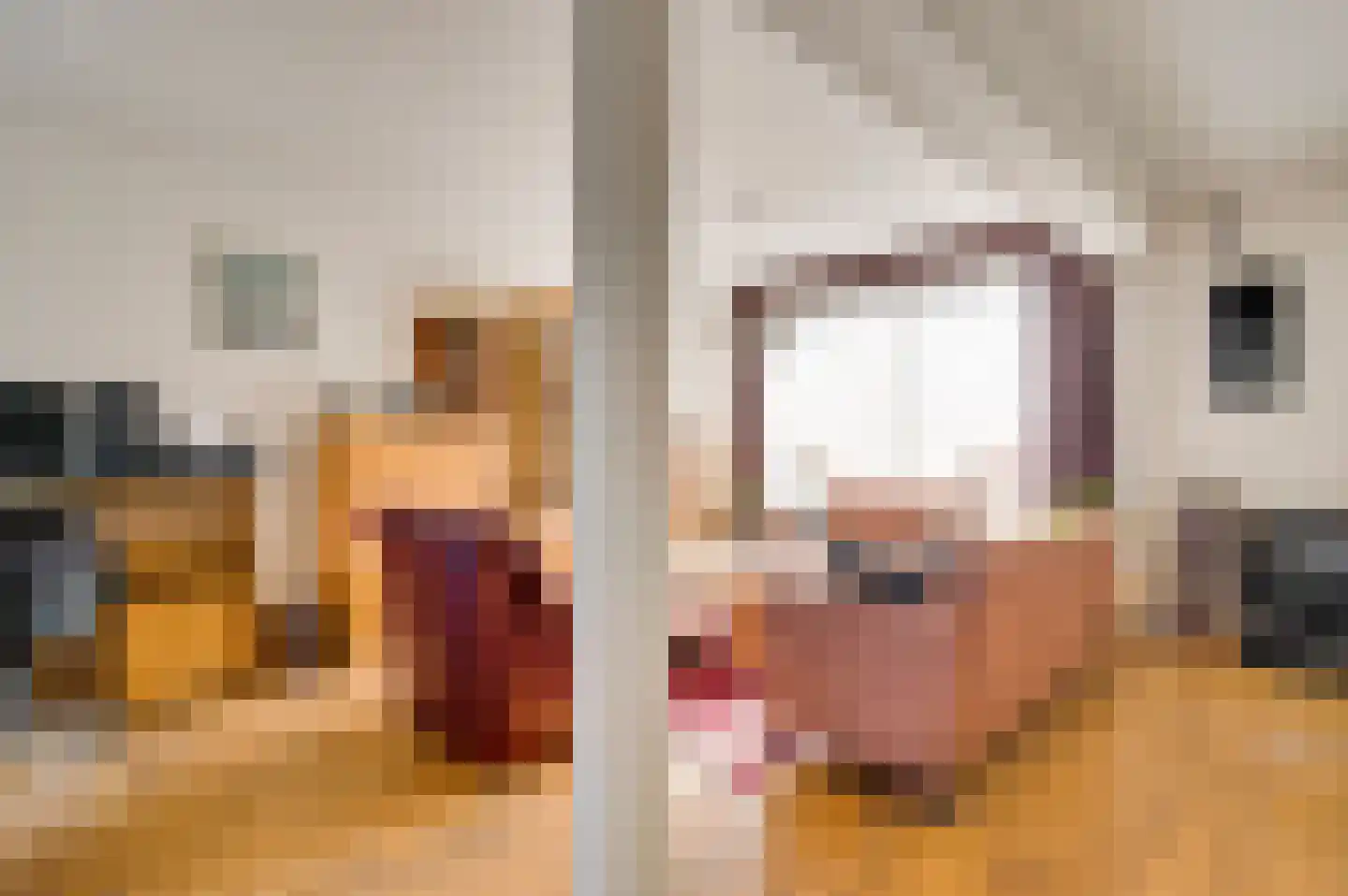 Middelijk 13 Horst thumbnail 17