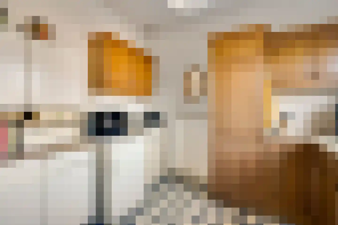 Middelijk 13 Horst thumbnail 20