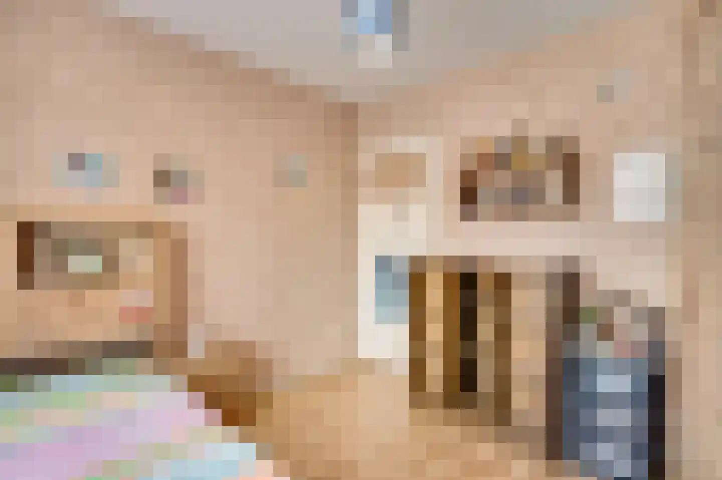 Middelijk 13 Horst thumbnail 29
