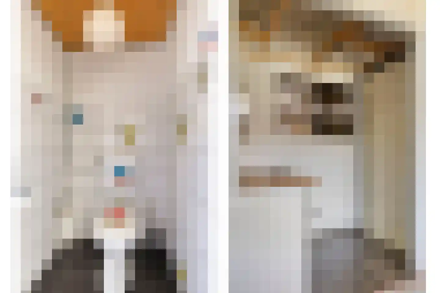 Middelijk 30 Horst thumbnail 29
