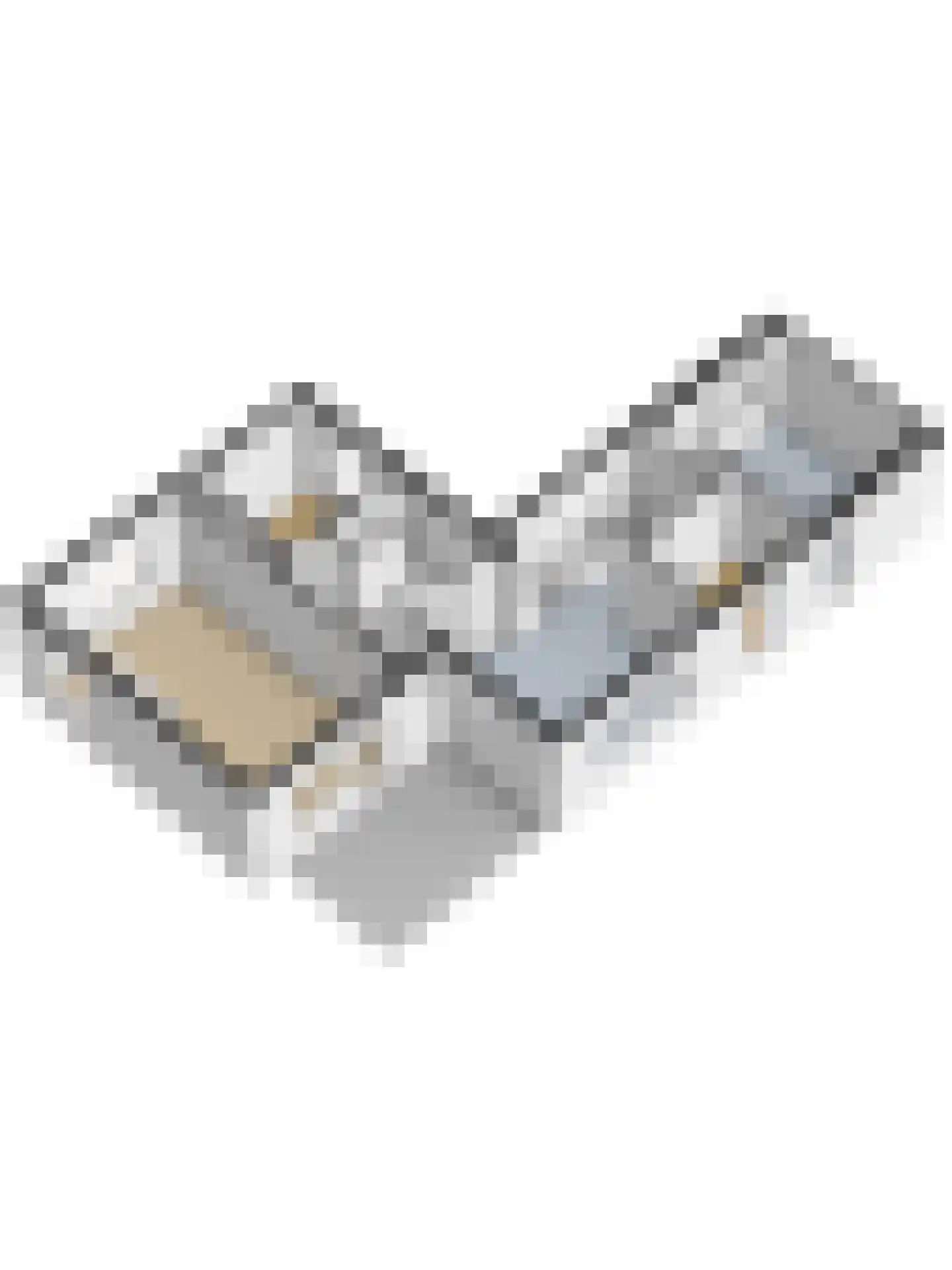 Middelkoop 17 A Leerbroek thumbnail 70