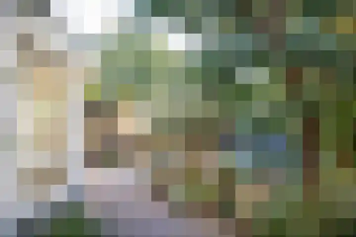 Middellaan 100 Veenendaal thumbnail 53