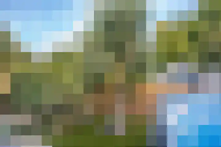 Middellaan 100 Veenendaal thumbnail 58