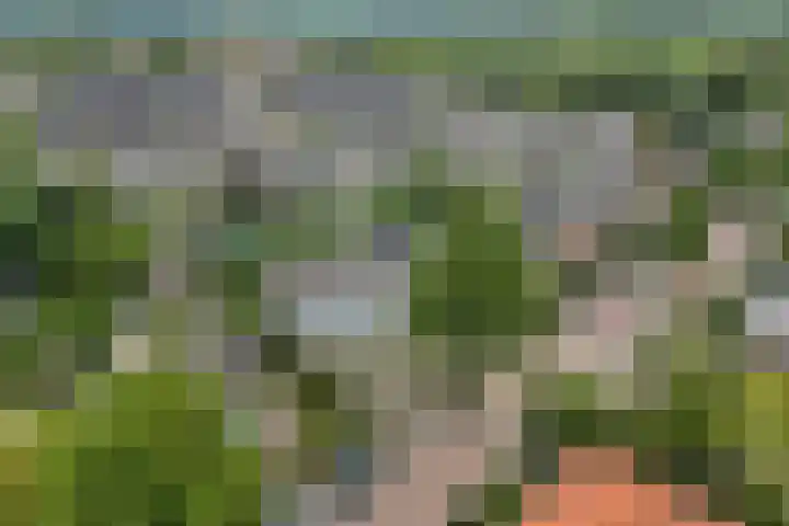 Middellaan 100 Veenendaal thumbnail 70