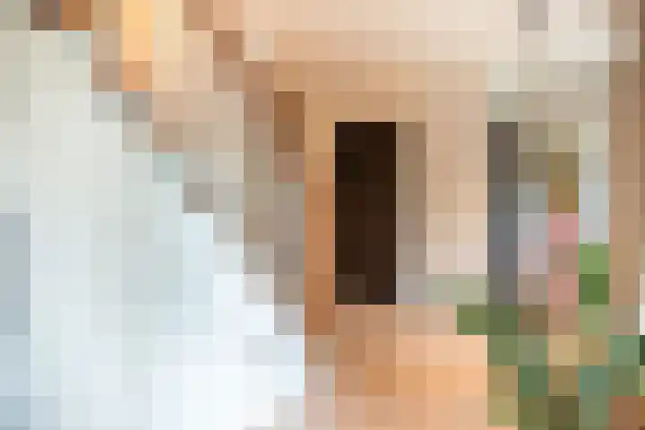 Middellaan 100 Veenendaal thumbnail 9