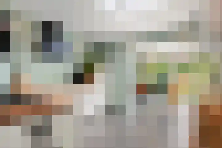 Middellaan 141 Veenendaal thumbnail 14