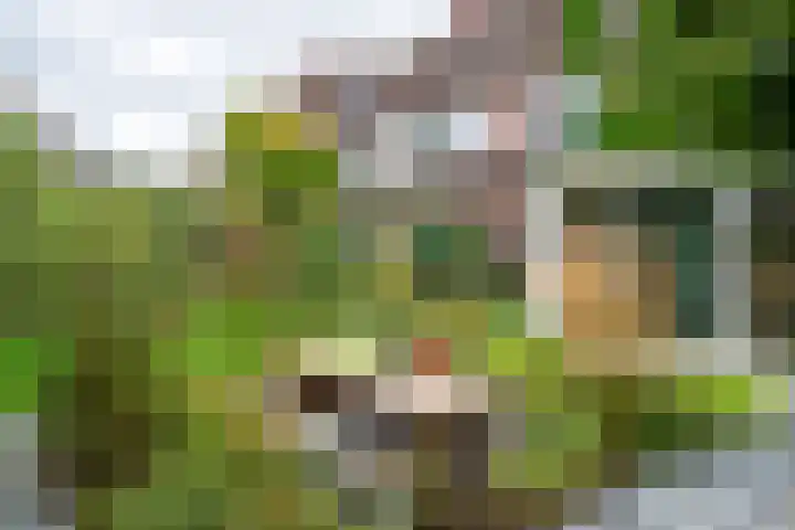 Middellaan 141 Veenendaal thumbnail 21