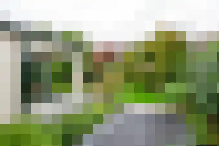 Middellaan 141 Veenendaal thumbnail 23
