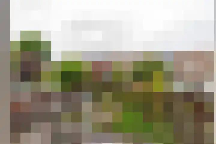 Middellaan 141 Veenendaal thumbnail 32