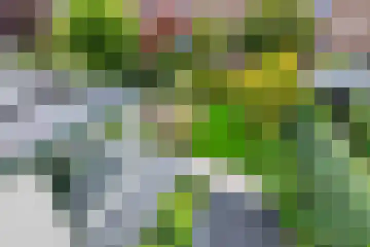Middellaan 141 Veenendaal thumbnail 33