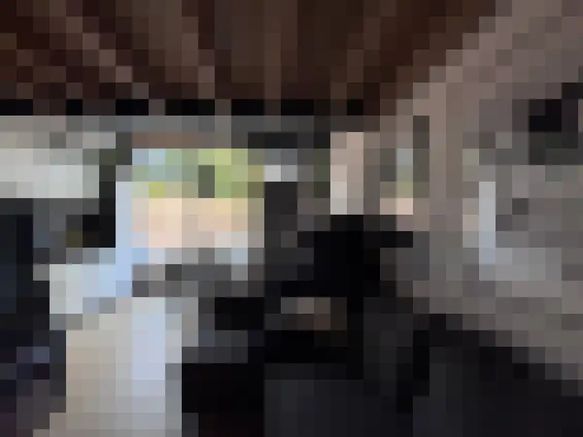 Middellaan 15 Breda thumbnail 4