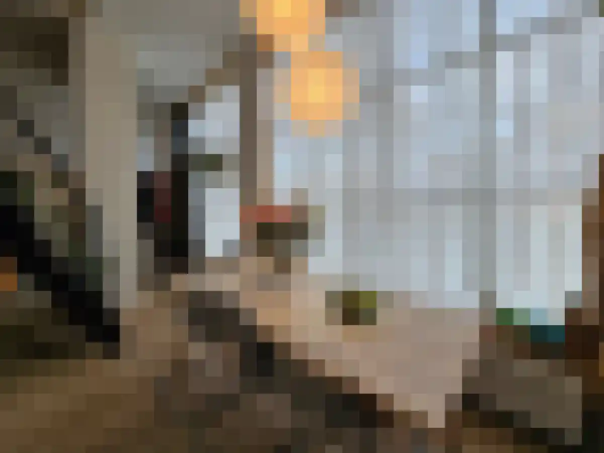 Middellaan 15 Breda thumbnail 5