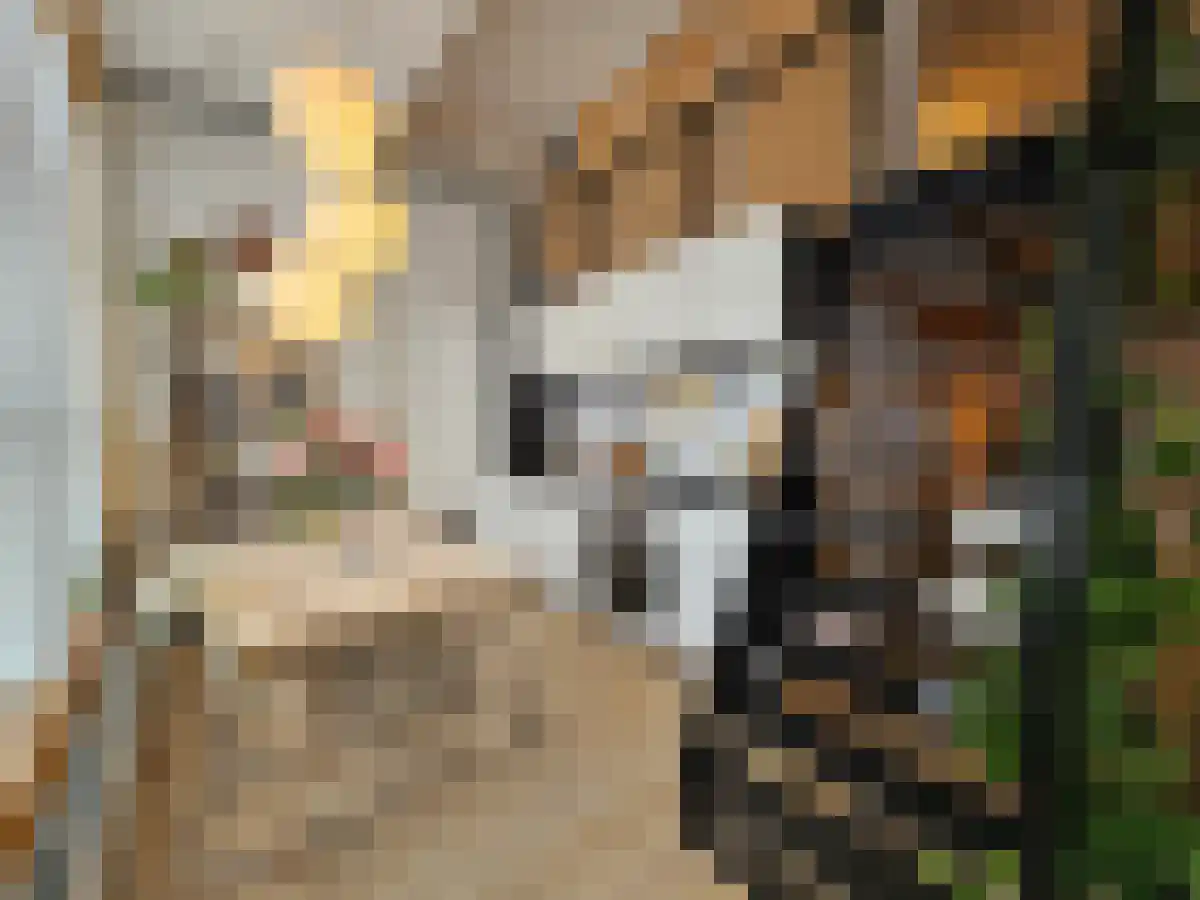 Middellaan 15 Breda thumbnail 6