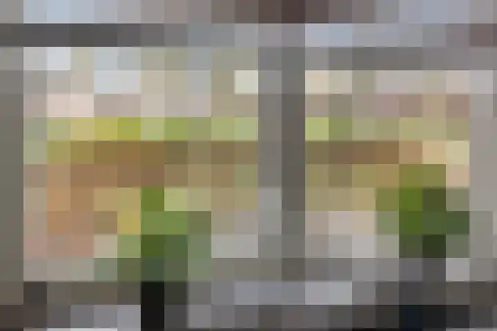 Middellaan 150 Breda thumbnail 38