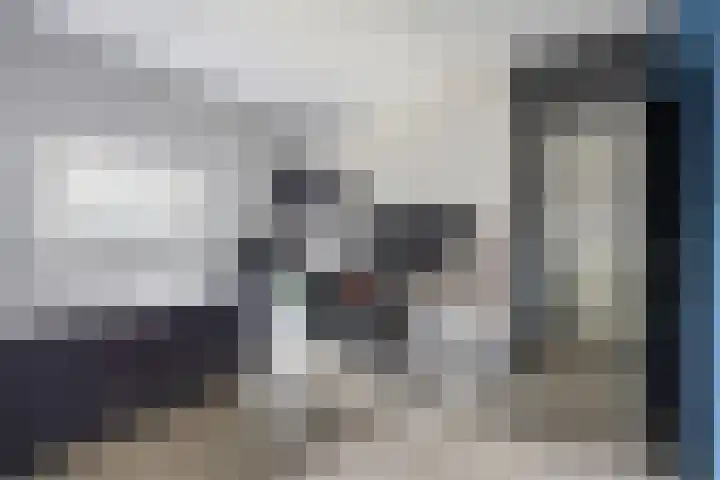 Middellaan 150 Breda thumbnail 38