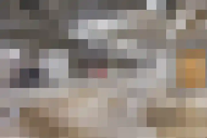 Middellaan 150 Breda thumbnail 43