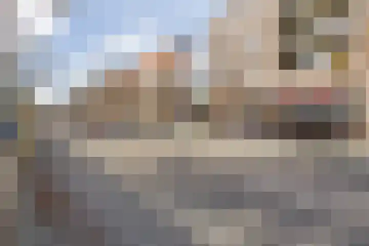 Middellaan 150 Breda thumbnail 6