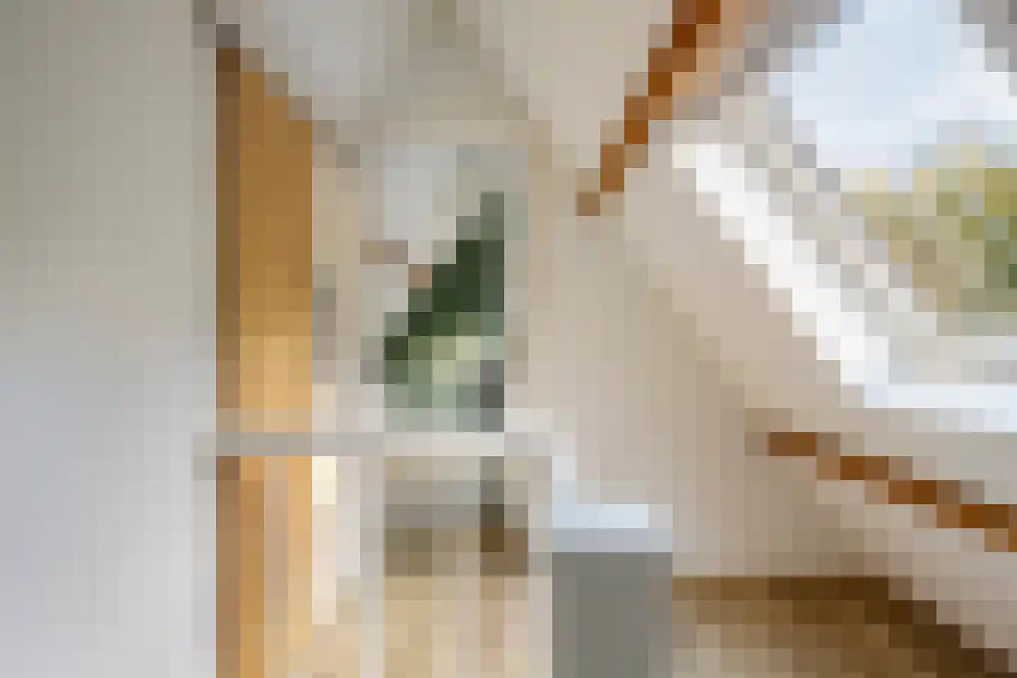 Middellaan 2 Apeldoorn thumbnail 33