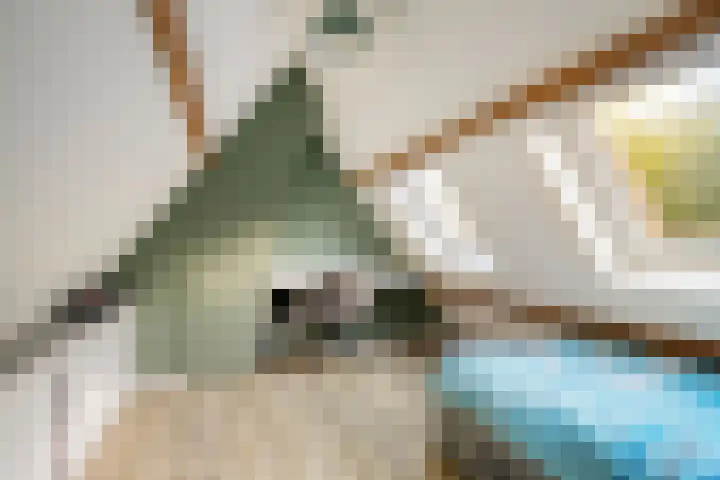 Middellaan 2 Apeldoorn thumbnail 34