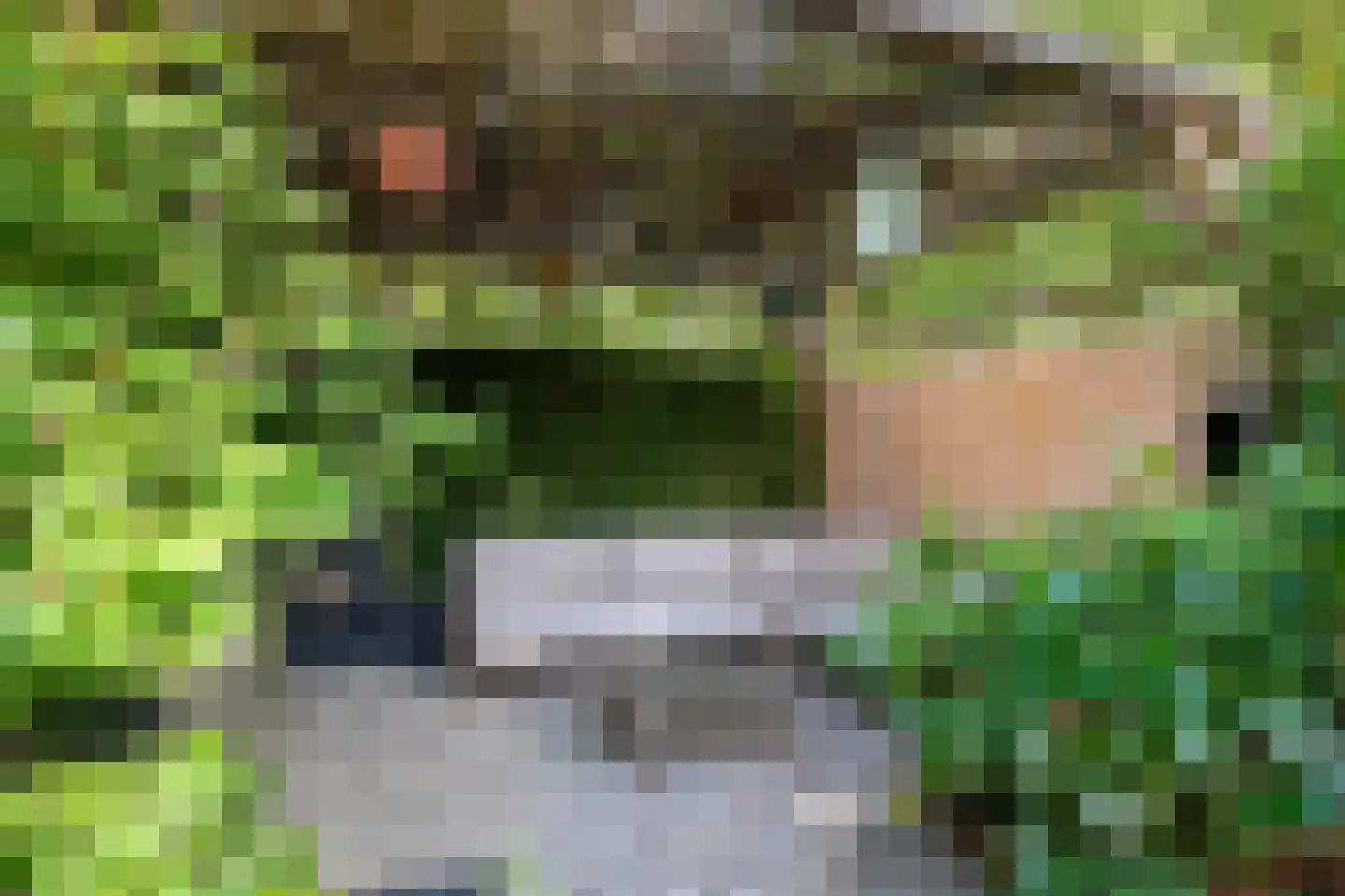 Middellaan 2 Apeldoorn thumbnail 40