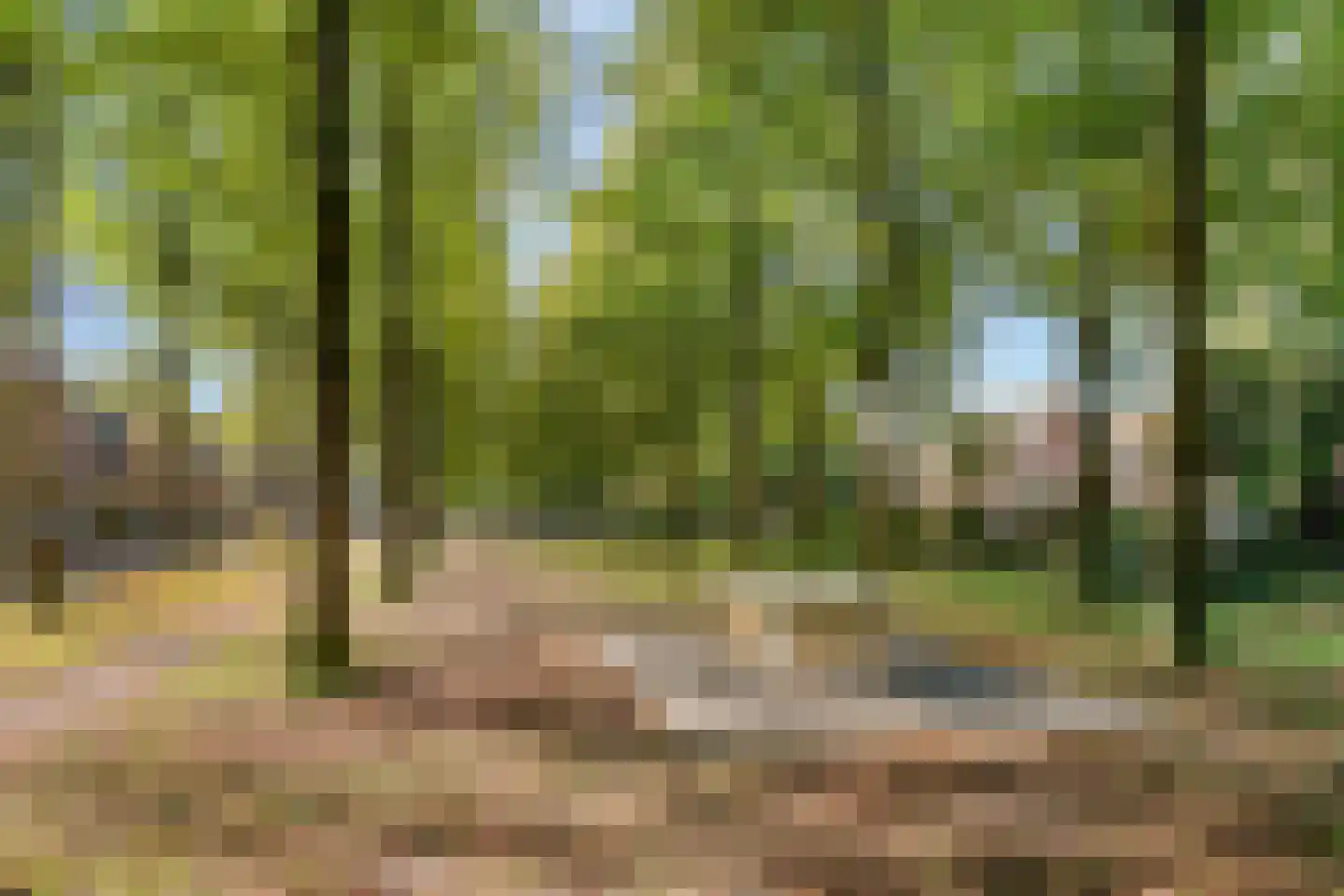 Middellaan 2 Apeldoorn thumbnail 48