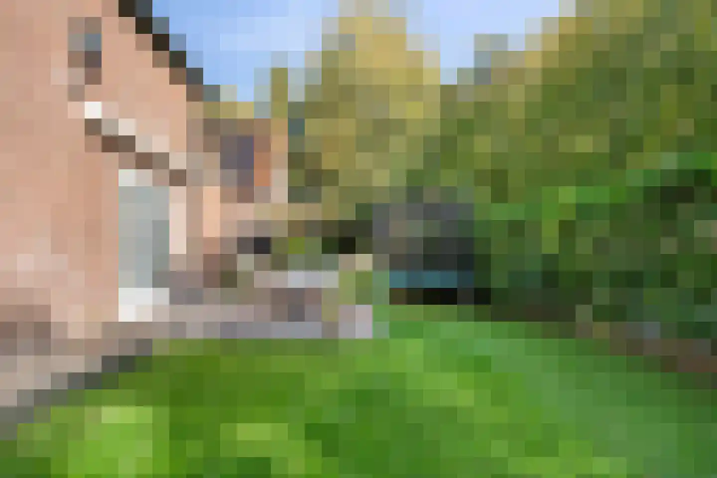 Middellaan 2 Apeldoorn thumbnail 5