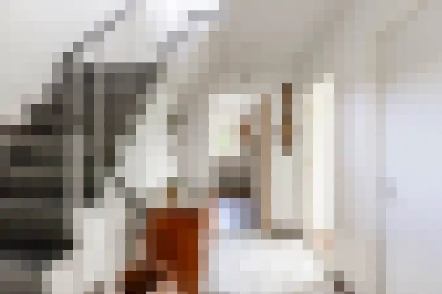 Middellaan 2 Grootegast thumbnail 13