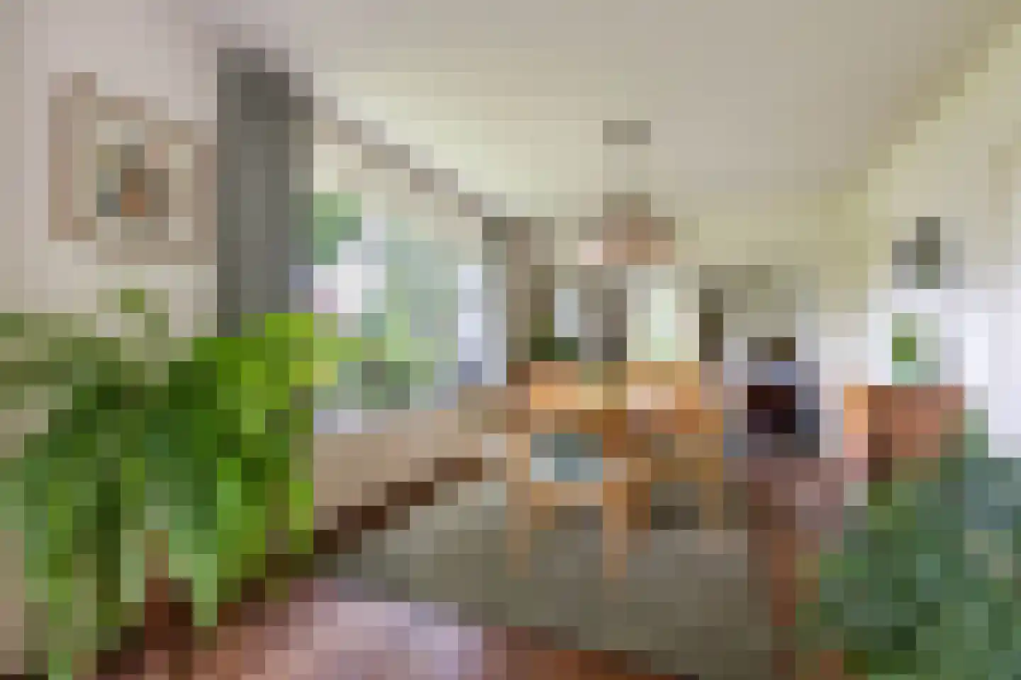 Middellaan 2 Grootegast thumbnail 19