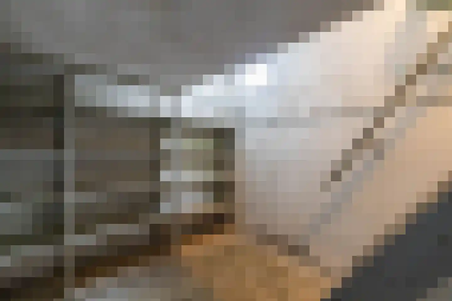 Middellaan 2 Grootegast thumbnail 28