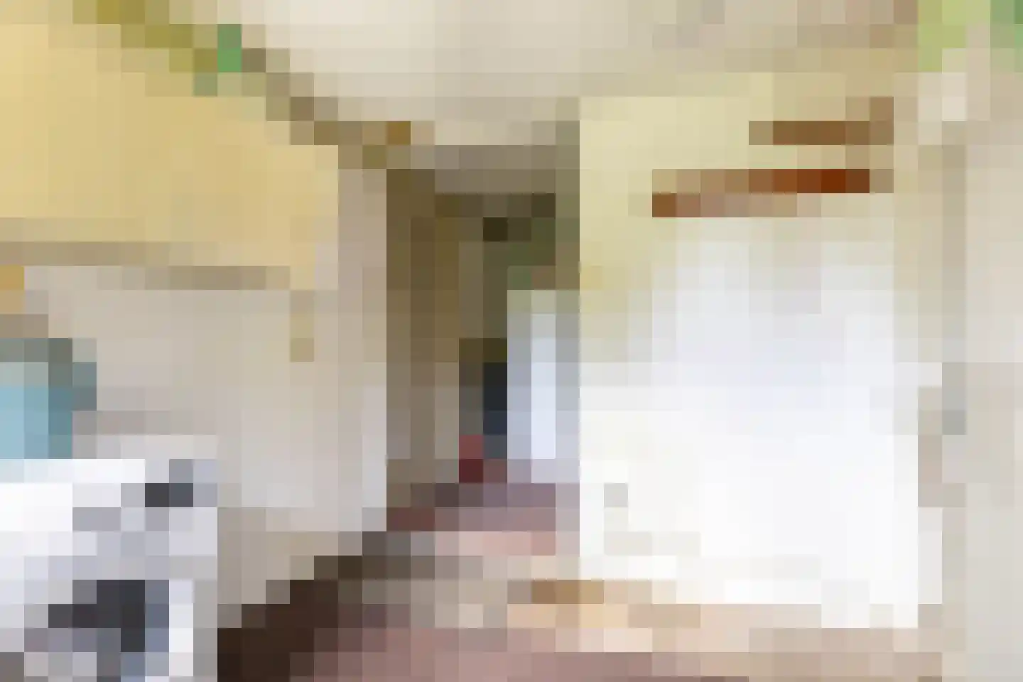 Middellaan 2 Grootegast thumbnail 30